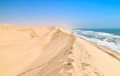 visiter la namibie : Sandwich Arbour